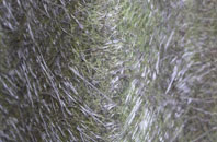 Kingsmuir fibreglass roof work